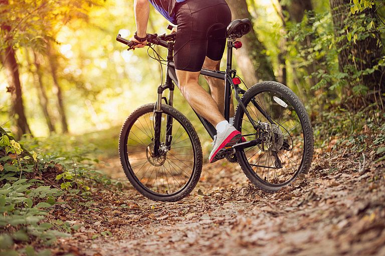 Bikeurlaub Willingen