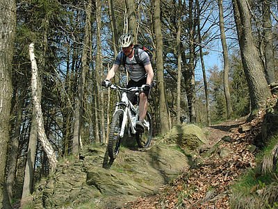 Biken im Wald Willingen